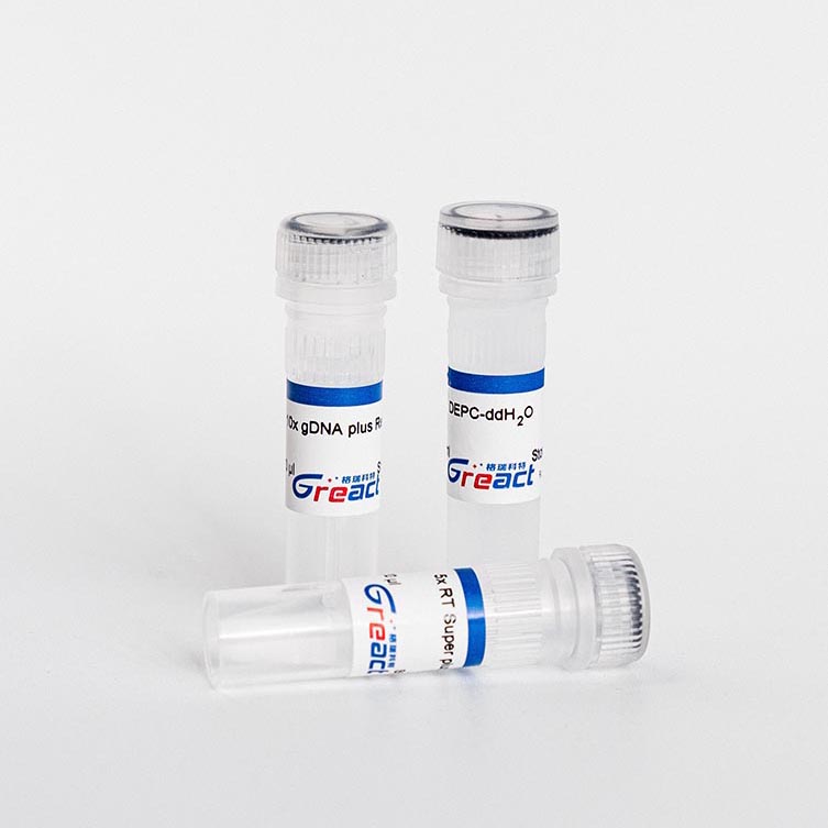 KunGre ™ 1st Strand cDNA Synthesis SuperMix for qPCR(gDNA digester plus)