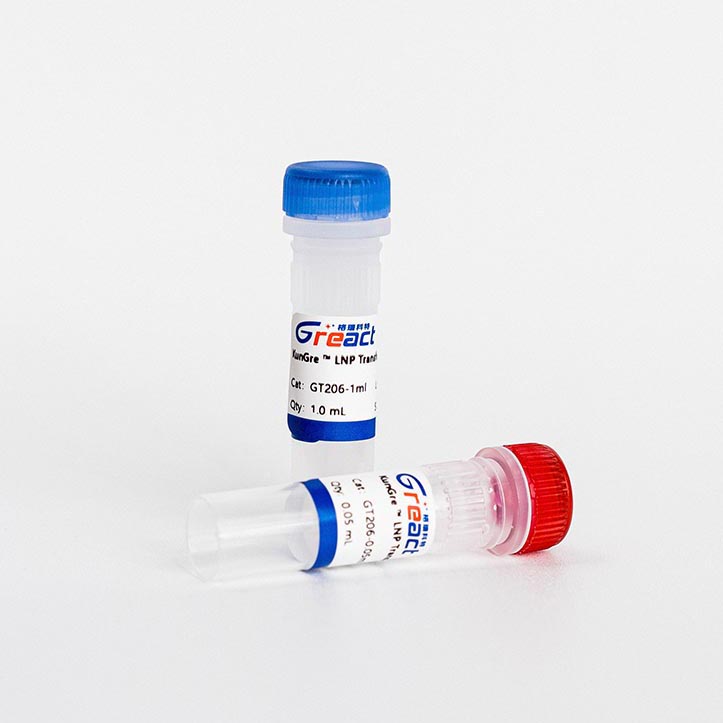 KunGre ™ LNP Transfection Reagent for RNA
